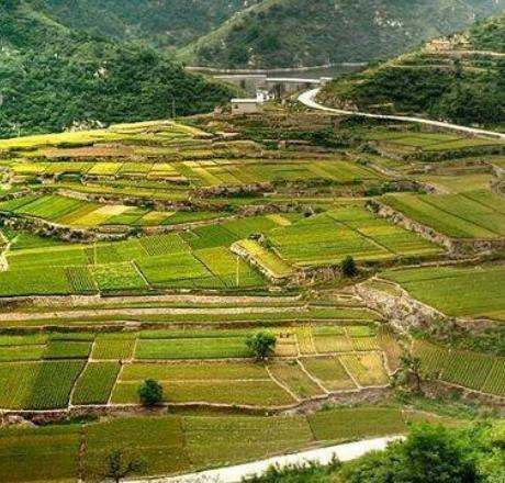 全球十大夢想旅行地旅游景點排行 長頸鹿莊園十分有趣