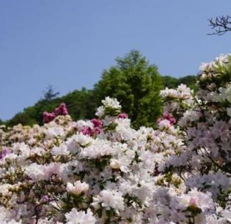 全球十大夢想旅行地旅游景點排行 長頸鹿莊園十分有趣