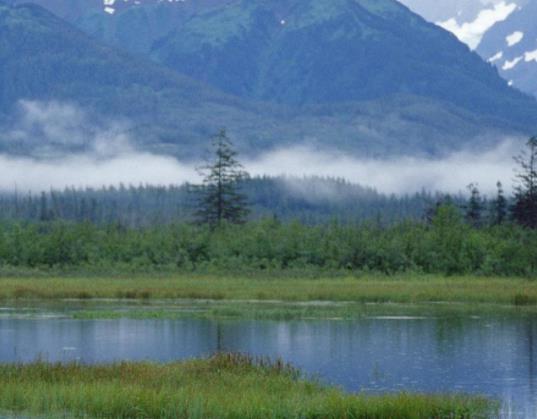 全球十大夢想旅行地旅游景點排行 長頸鹿莊園十分有趣