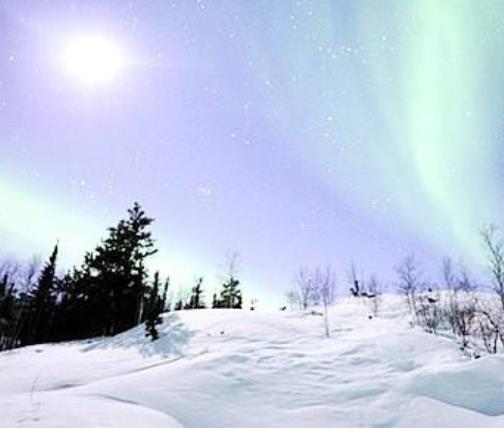 全球十大夢想旅行地旅游景點排行 長頸鹿莊園十分有趣