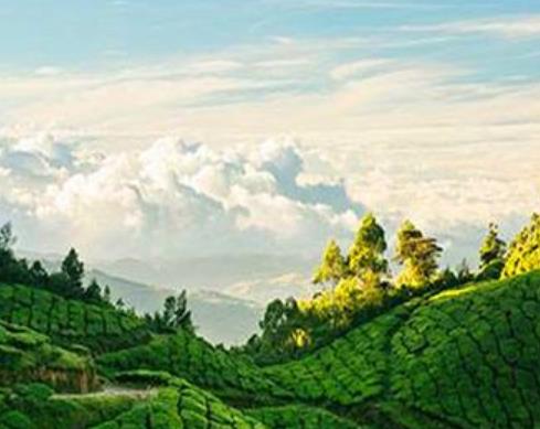 全球八大最浪漫旅程旅游排行 巴黎一夜是一個夢寐以求的地方