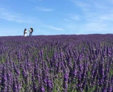 全球八大最浪漫旅程旅游排行 巴黎一夜是一個夢寐以求的地方