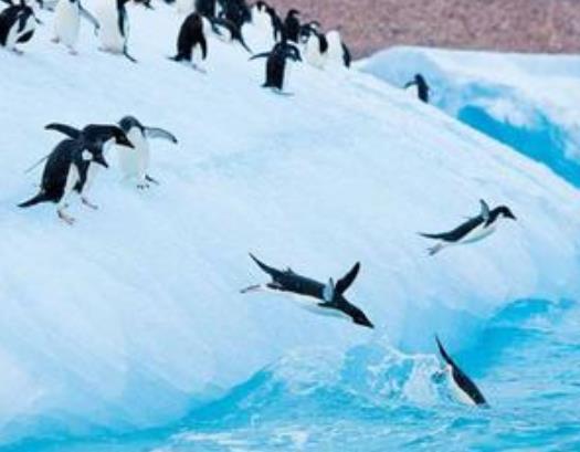 2019年全球最值得一去的十大旅游地 巴西本就有著天堂般的美景