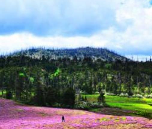 中國最美的十大秋色旅游景點排行 喀納斯登峰造極的秋色