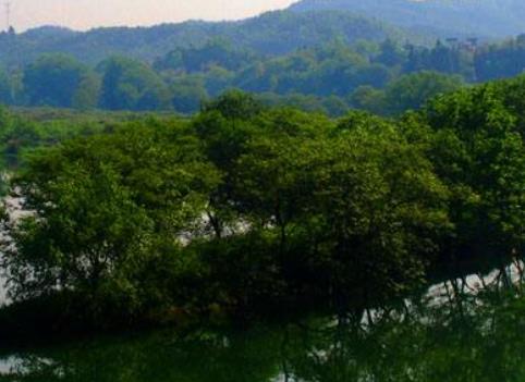 風景獨好江西十大最美景點旅游景點排行 月亮灣只覺得一彎秀水