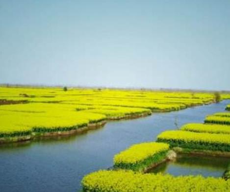 全國十大最美油菜花海觀賞地旅游排行 漢中位于陜西南部