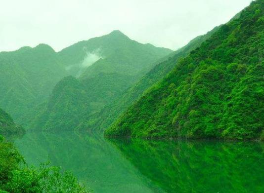 全國十大最美油菜花海觀賞地旅游排行 漢中位于陜西南部