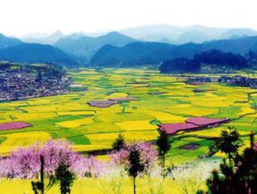 全國十大最美油菜花海觀賞地旅游排行 漢中位于陜西南部