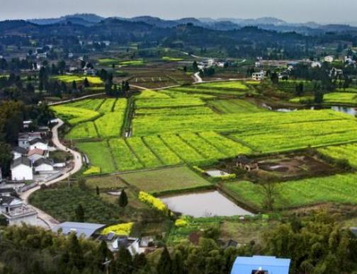 全國十大最美油菜花海觀賞地旅游排行 漢中位于陜西南部