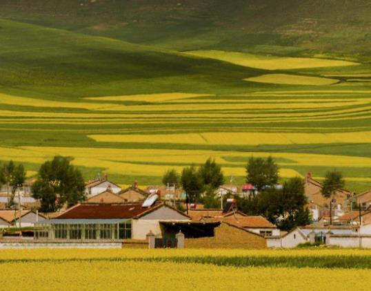 全國十大最美油菜花海觀賞地旅游排行 漢中位于陜西南部
