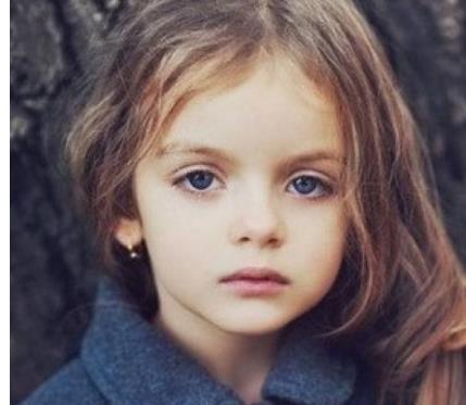 五大最美蘿莉排行榜 最美蘿莉排名榜首的是迪拜公主沙瑪公主