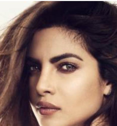 印度最美麗的十大女明星排行 巴蒂亞在一部寶萊塢電影中首次亮相