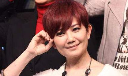 娛樂圈人前人后都很恩愛六大明星 梁靜茹婚后一直以小女人形象出現