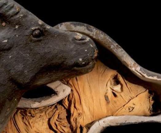 全球最經典的四大魔幻電影排行 《大魚》這張照片選取里面的一個片段