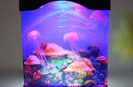 令人聞風(fēng)喪膽5大動(dòng)物毒王排行 蚊子在動(dòng)物界中體型小力量弱