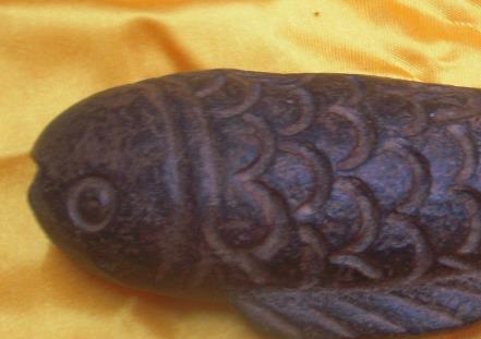 令人聞風(fēng)喪膽5大動(dòng)物毒王排行 蚊子在動(dòng)物界中體型小力量弱