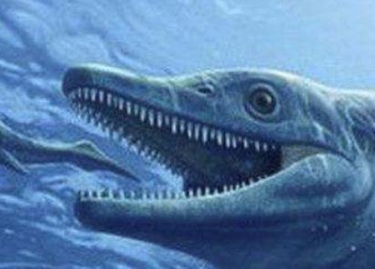 最為怪異的5種滅絕動物盤點 巨型短面袋鼠身高可達到10英尺