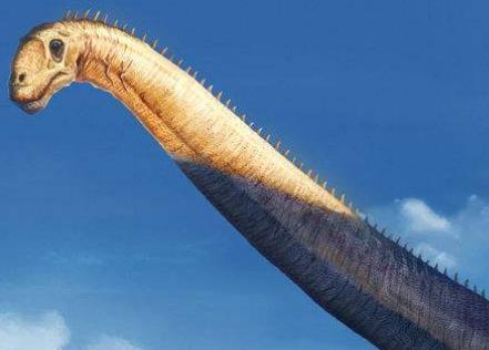 最為怪異的5種滅絕動物盤點 巨型短面袋鼠身高可達到10英尺