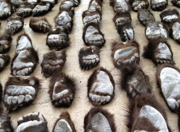 吉林延邊地方特色土特產品排行 黑木耳別名木耳滑嫩可口而馳名