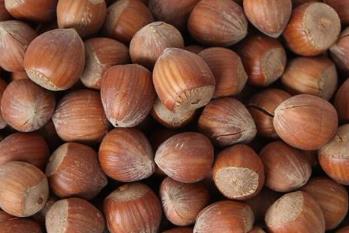 遼寧鐵嶺土特產(chǎn)品排行 黃花菜營(yíng)養(yǎng)十分豐富