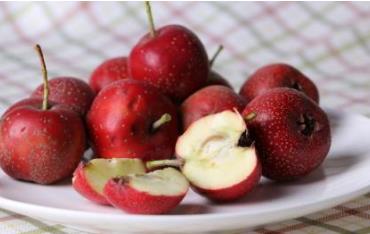 山西晉城土特產(chǎn)品排行榜 長山藥是一種營養(yǎng)豐富的食品