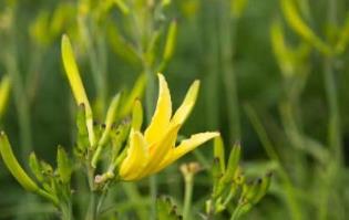 山西長治土特產品排行榜 上黨臘味驢肉采用傳統工藝