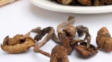 黑龍江牡丹江土特產品排行 榛蘑是黑龍江長白山特有的山珍之一