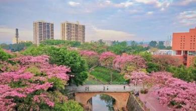 中國五大美食城市排行榜 北京得首都之利匯集了全國佳肴