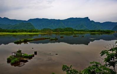 中國最美的四大濕地公園排行榜 大九湖位于神農(nóng)架是一片沼澤地