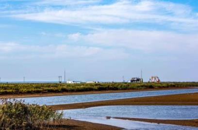 中國最美的四大濕地公園排行榜 大九湖位于神農(nóng)架是一片沼澤地
