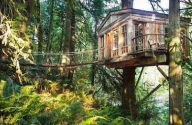 世界五大樹(shù)屋旅店排行 在查克理樹(shù)屋看日落絲絲滑落