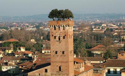 世界上最奇特的地方 螺旋森林位于德國達姆施塔特