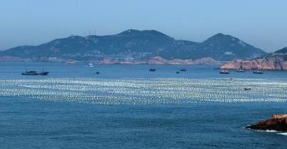 全球鮮為人知的蜜月旅行海島 巴西汀哈島美麗沙灘遠離人煙