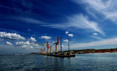 世界上最美的熱帶雨林 亞馬遜熱帶雨林占地14億英畝(6.4億公頃)