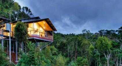 世界上最美的熱帶雨林 亞馬遜熱帶雨林占地14億英畝(6.4億公頃)