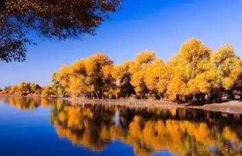 盤點假期最去不得的景區 麗江找床睡覺不容易