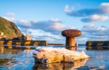 盤點世界最不可思議村落 青之島你能想象日夜與活火山相伴的生活嗎