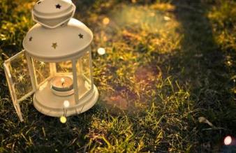 世界最美夜景賞玩拍攝地 加特林堡的同步螢火蟲