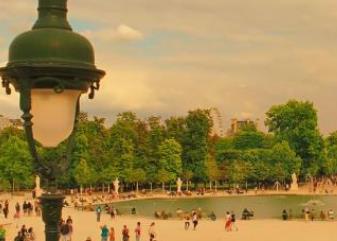 世界最美夜景賞玩拍攝地 加特林堡的同步螢火蟲