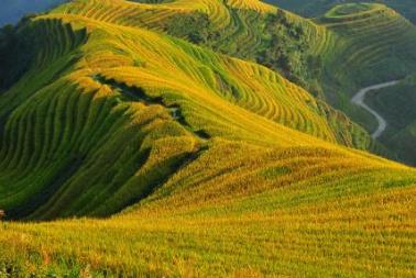 盤點國內最美梯田 哈尼梯田元陽哈尼梯田是國內最美梯田之首