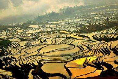 盤點國內最美梯田 哈尼梯田元陽哈尼梯田是國內最美梯田之首