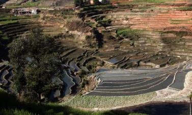 盤點國內最美梯田 哈尼梯田元陽哈尼梯田是國內最美梯田之首