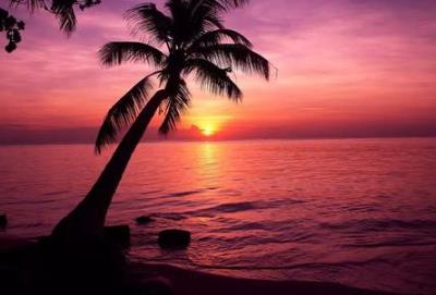 全球最適合造人的圣地 馬爾代夫甜蜜的二人世界