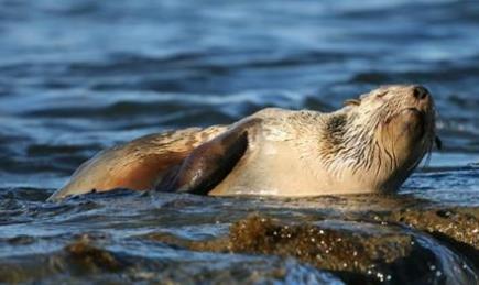 最受歡迎的旅游國家排行 澳大利亞看見如白色風(fēng)帆似歌劇院穹頂