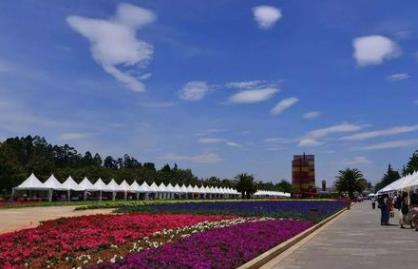 中國(guó)適合春季旅游的5a景區(qū) 杭州西湖風(fēng)景名勝區(qū)位于杭州市中心