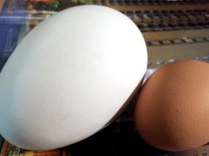 最難吃零食排行 擂茶叫“雷茶”還差不多