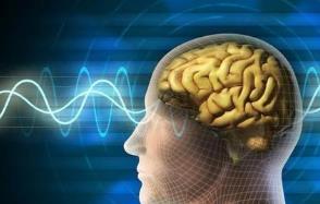 心理犯罪電影排行榜前十名 《雨人》絕對值得一看