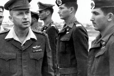 2019排行榜前十的動作片 大黃蜂好暖好喜歡