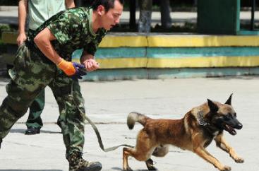 最值得期待的港劇排行榜 末代御醫集合了眾多tvb當家花旦小生
