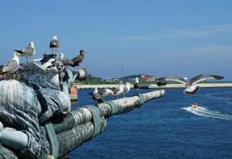 大連最好玩的地方推薦 大連圣亞海洋世界共分為四個展館